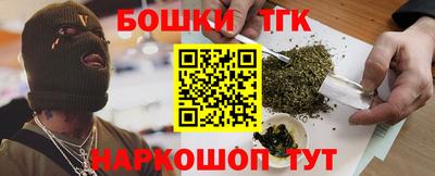 крисы Новодвинск