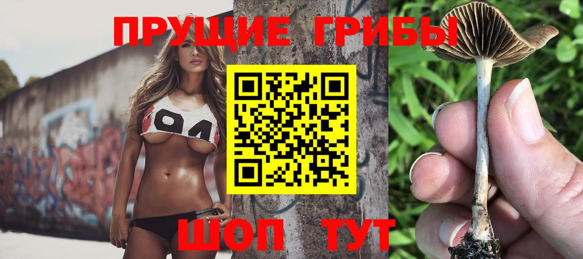 Псилоцибиновые грибы Cubensis Рязань
